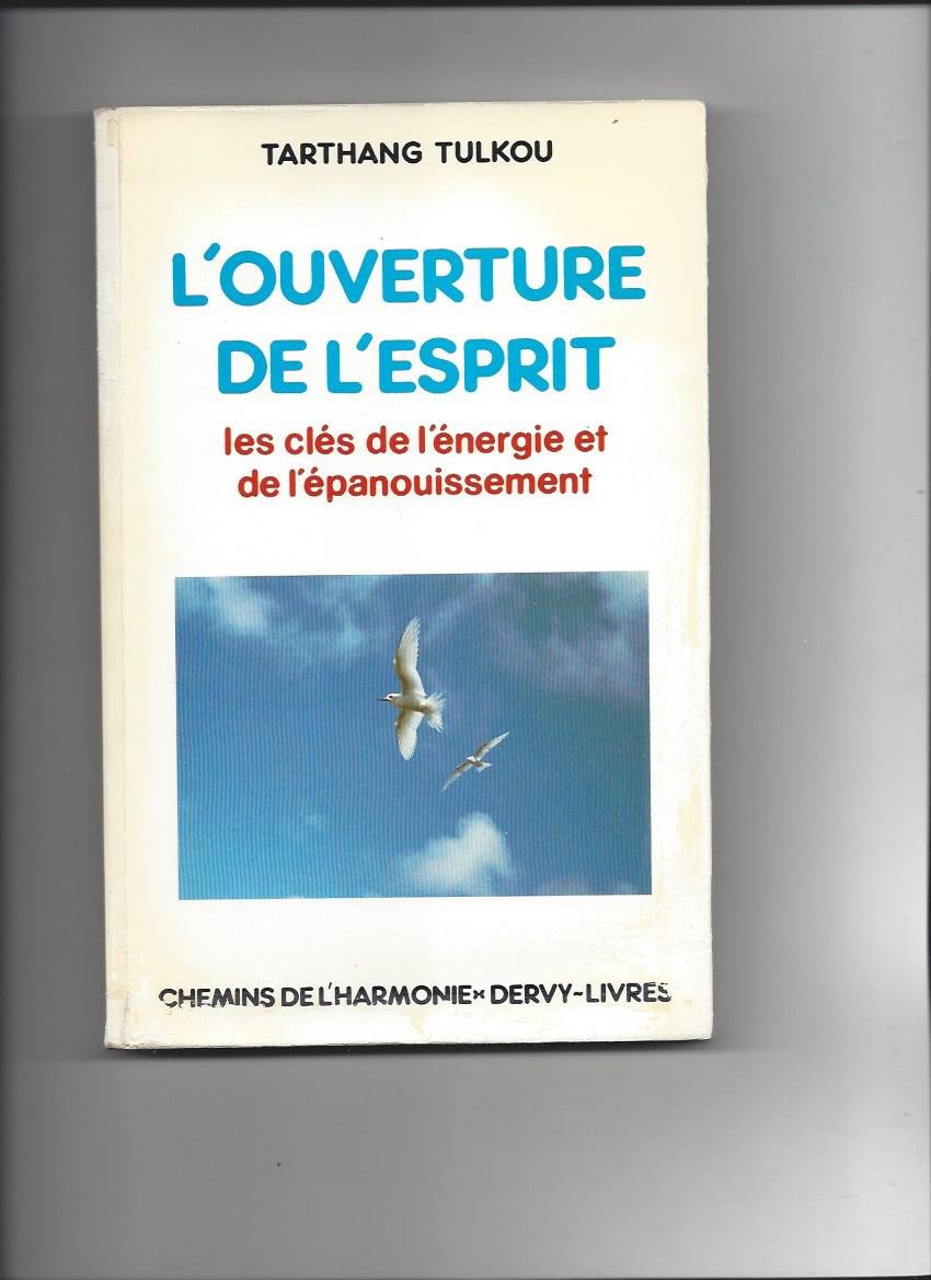 L'Ouverture de l'esprit : les clés de l'énergie et de l'épanouissement 9782850762901
