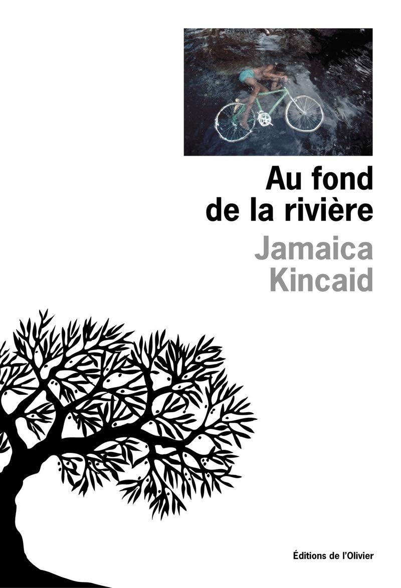 Au Fond de la rivière 9782879293134