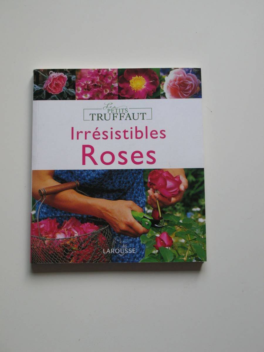 Irrésistibles roses 9782035835635