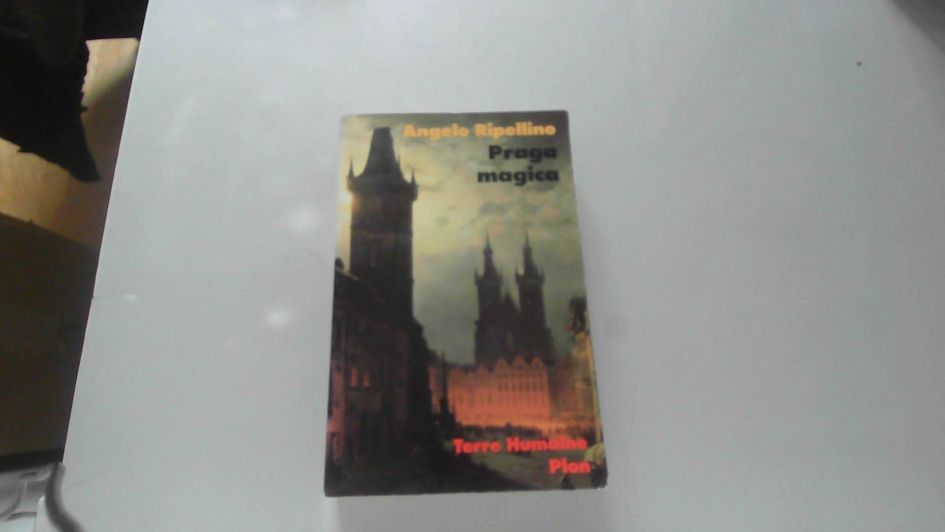Praga magica : Voyage initiatique à Prague 9782259027014