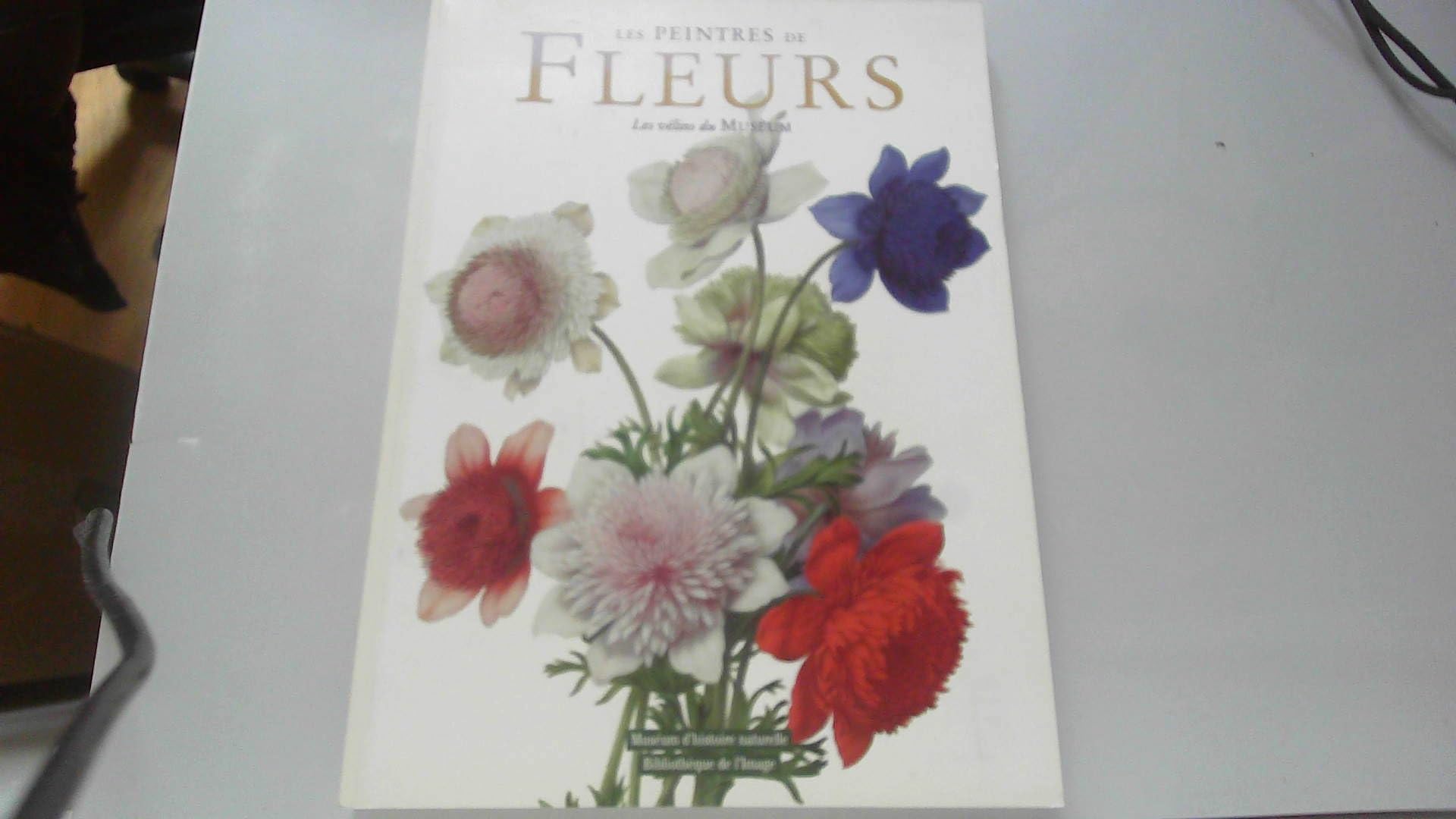 Les peintres de fleurs 9782909808369