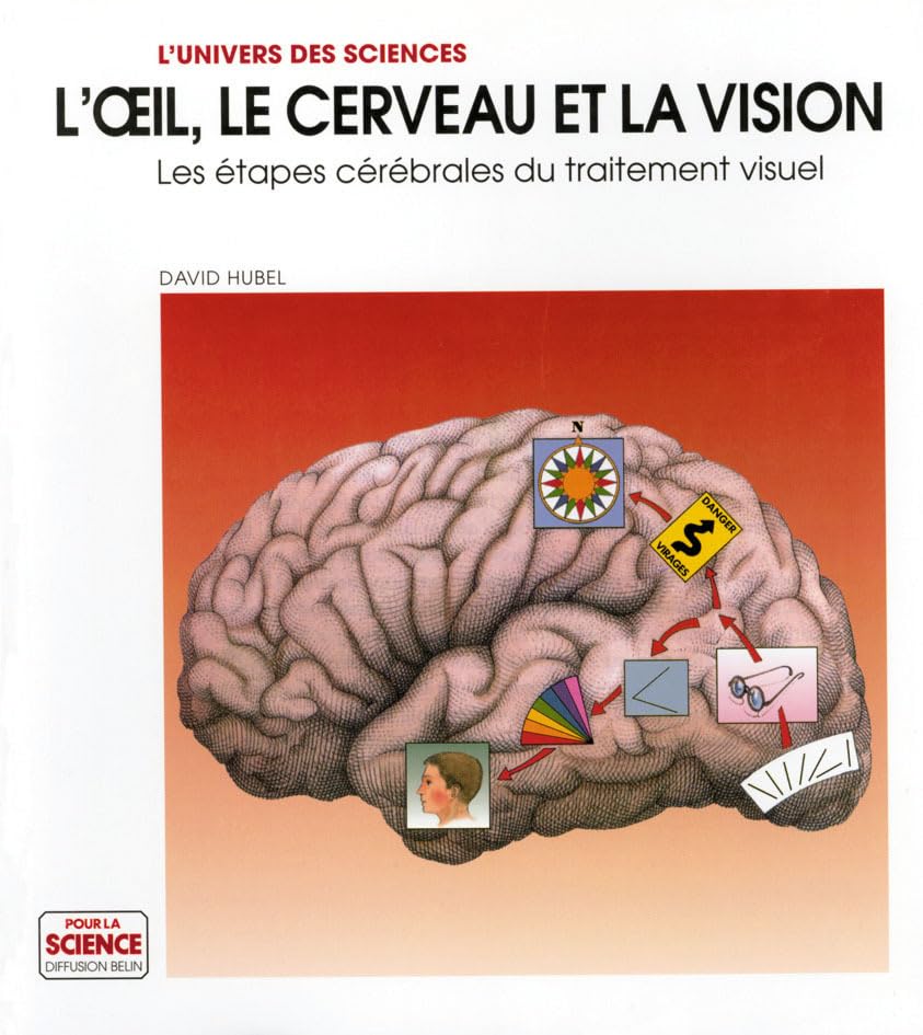 L'œil, le cerveau, la vision.: Les étapes cérébrales du traitement visuel 9782902918676