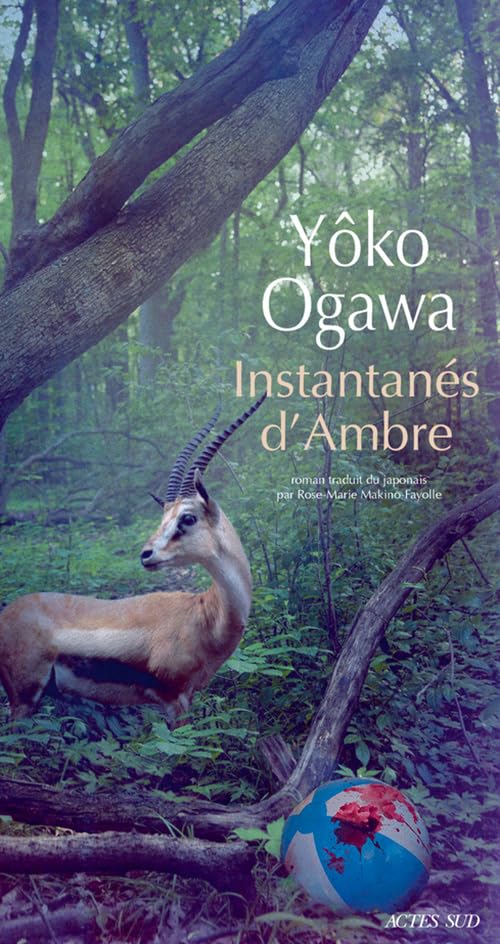 Instantanés d'Ambre 9782330097349