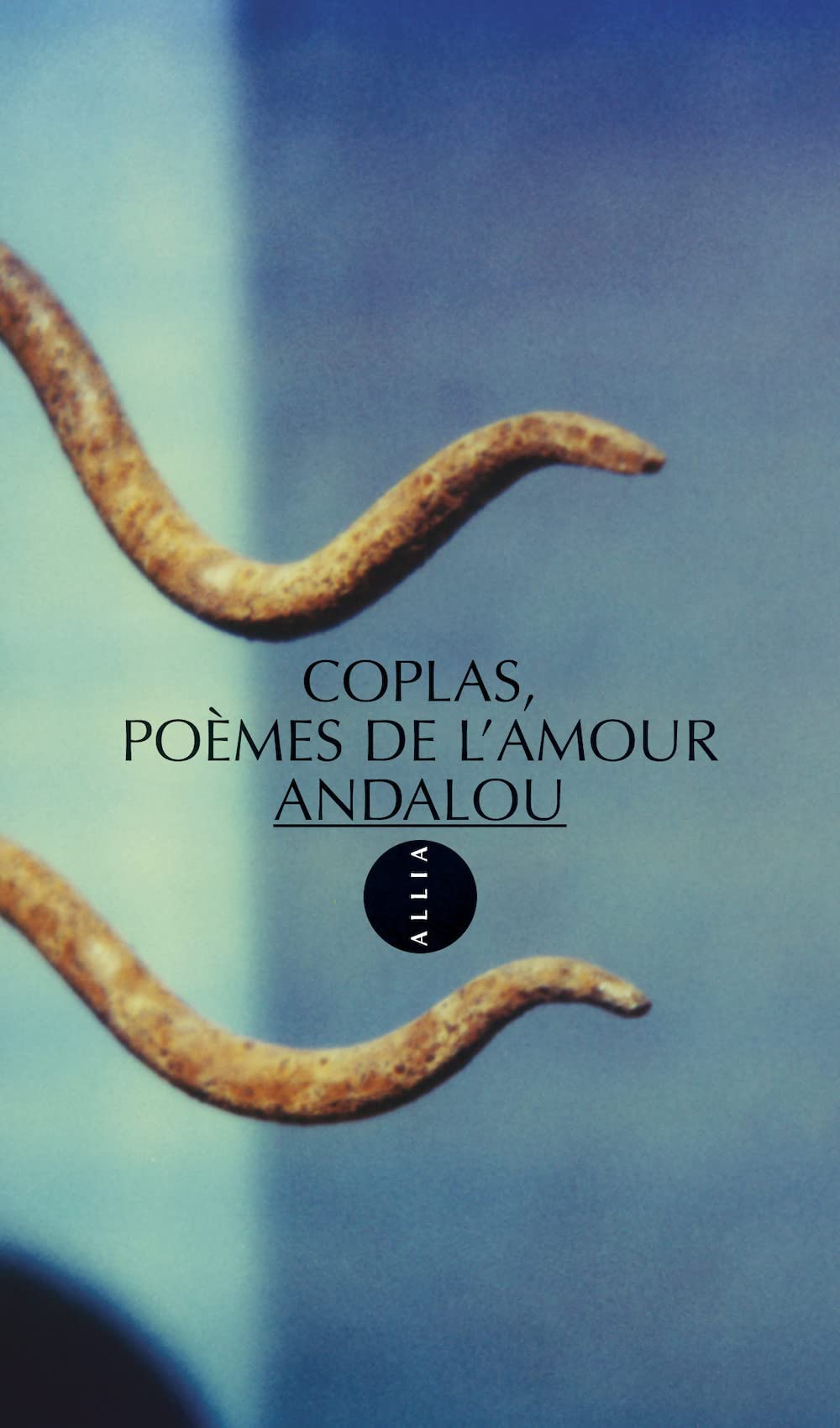 Coplas, poèmes de l'amour Andalou 9782911188640