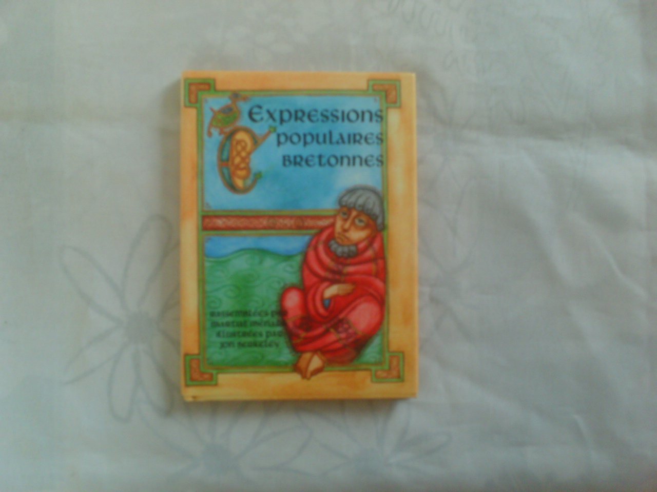Expressions populaires bretonnes 9782909924939