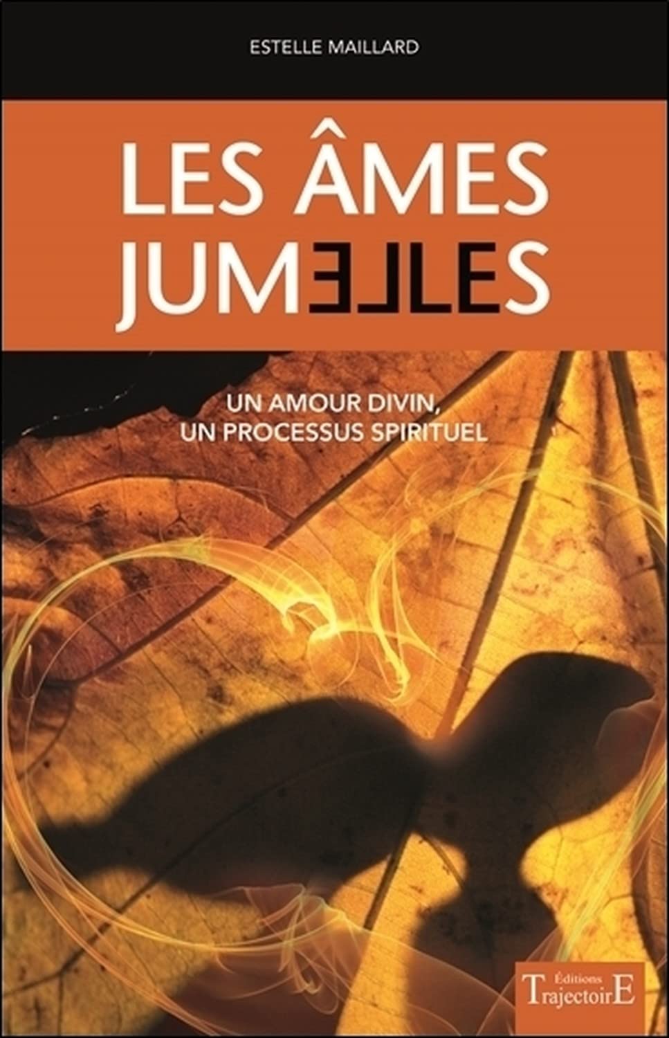 Les âmes jumelles - Un amour divin - Un processus spirituel 9782841977130