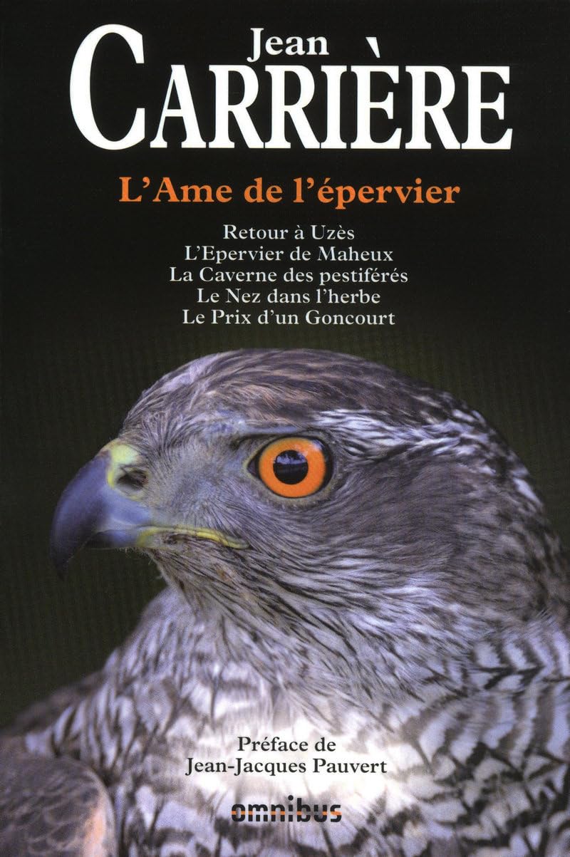 L'AME DE L'EPERVIER 9782258081758