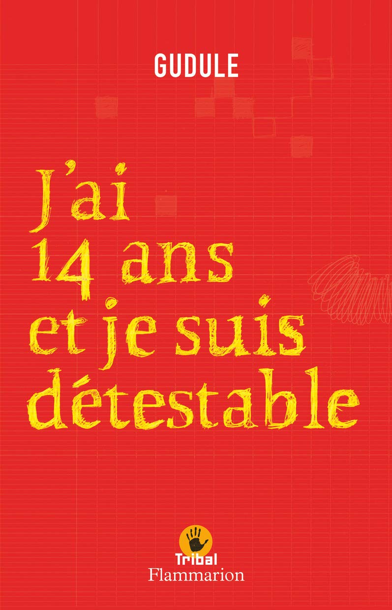J'ai quatorze ans et je suis détestable 9782081613454