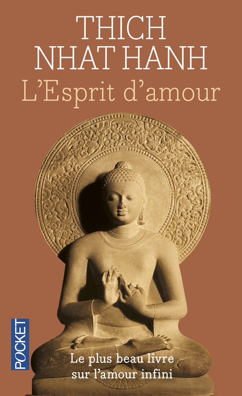 L'esprit d'amour 9782266179416