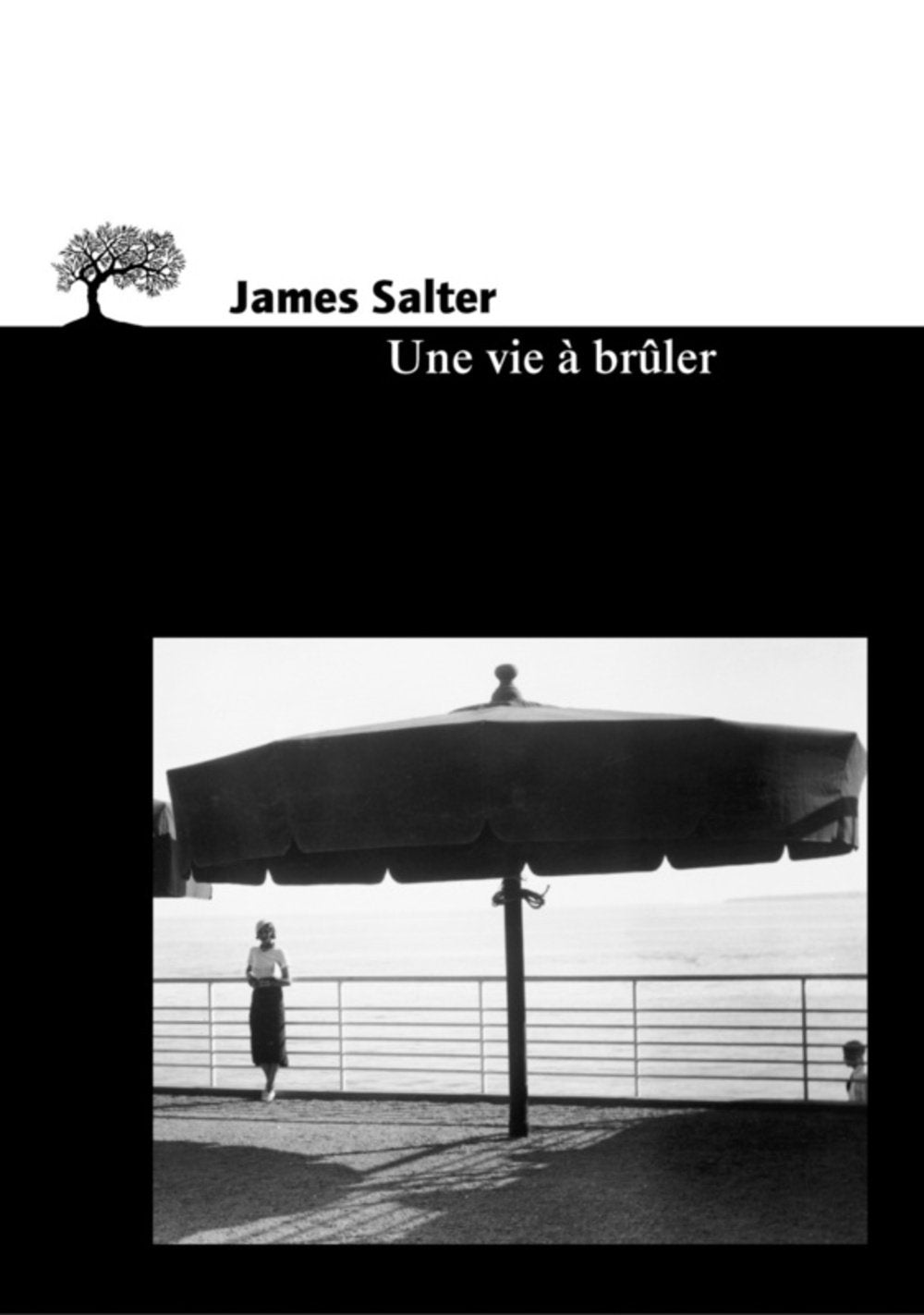 Une vie à brûler 9782879293165