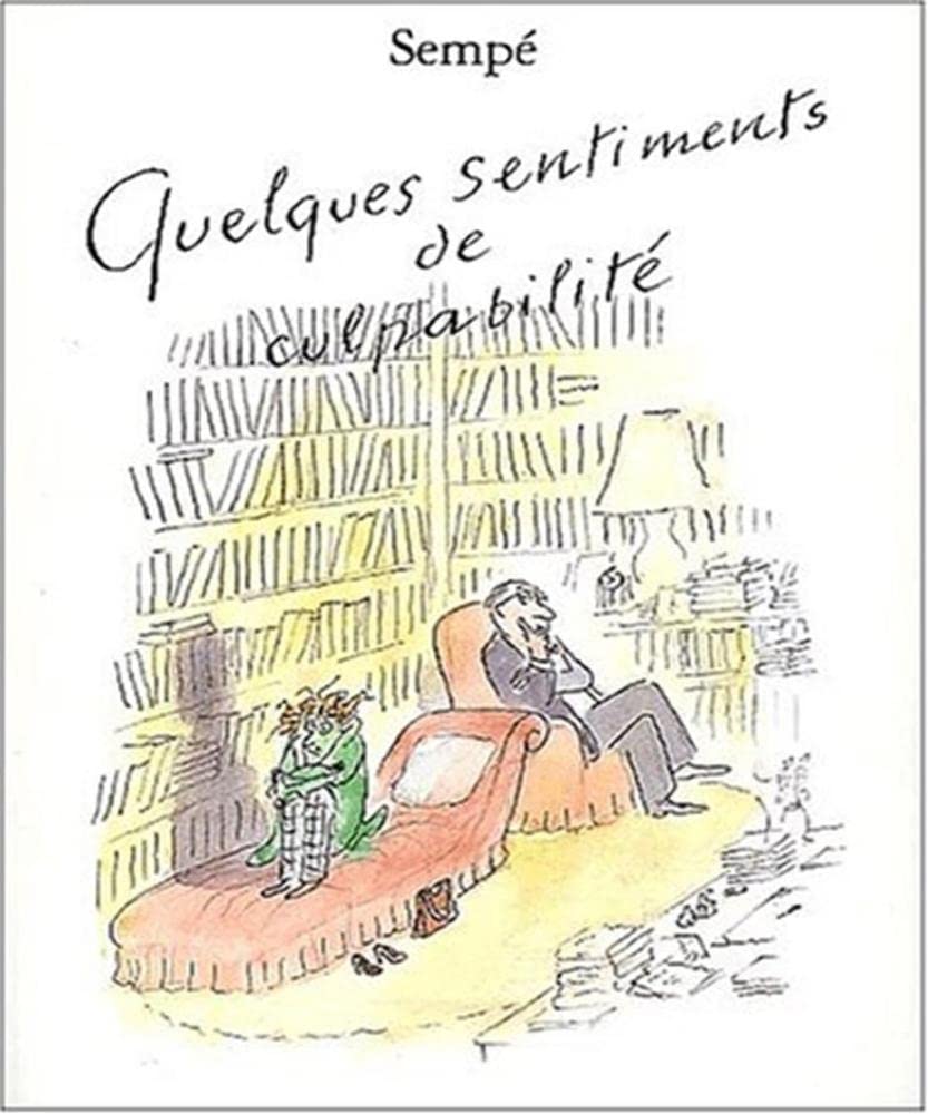Quelques sentiments de culpabilité 9782207252284