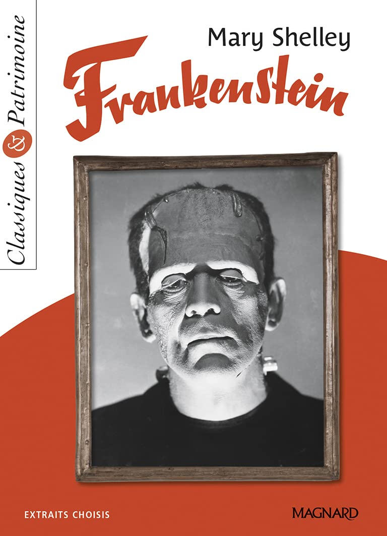 Frankenstein - Classiques et Patrimoine 9782210762787