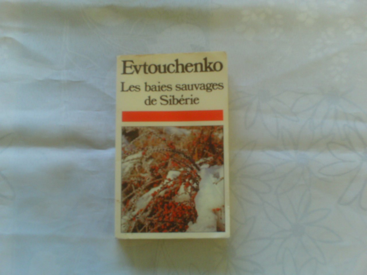 Baies sauvages de siberie 9782266012362