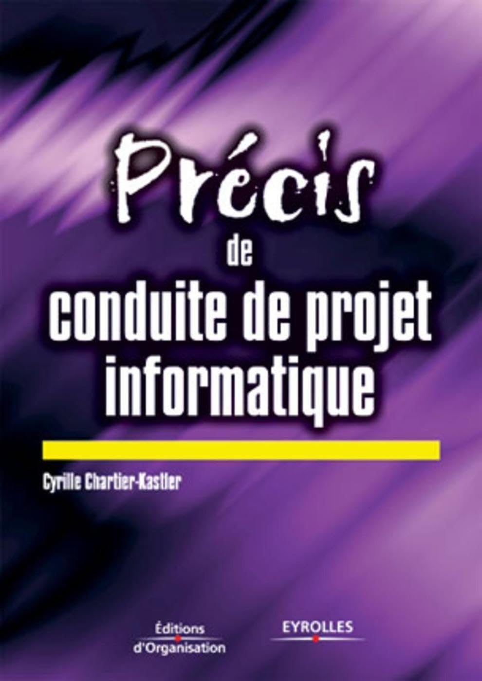 Précis de conduite de projet informatique 9782708118140