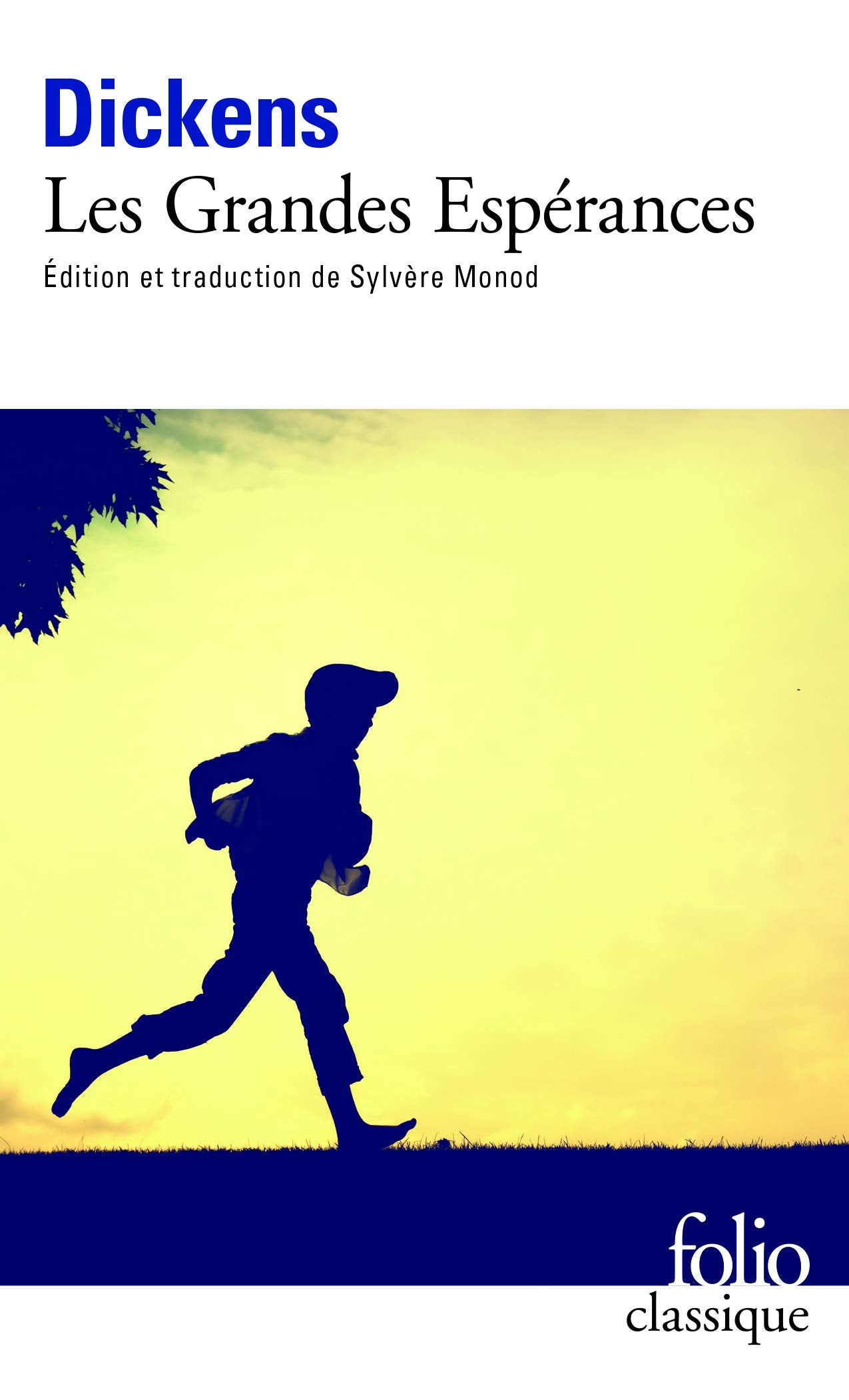 Les grandes espérances 9782070388301