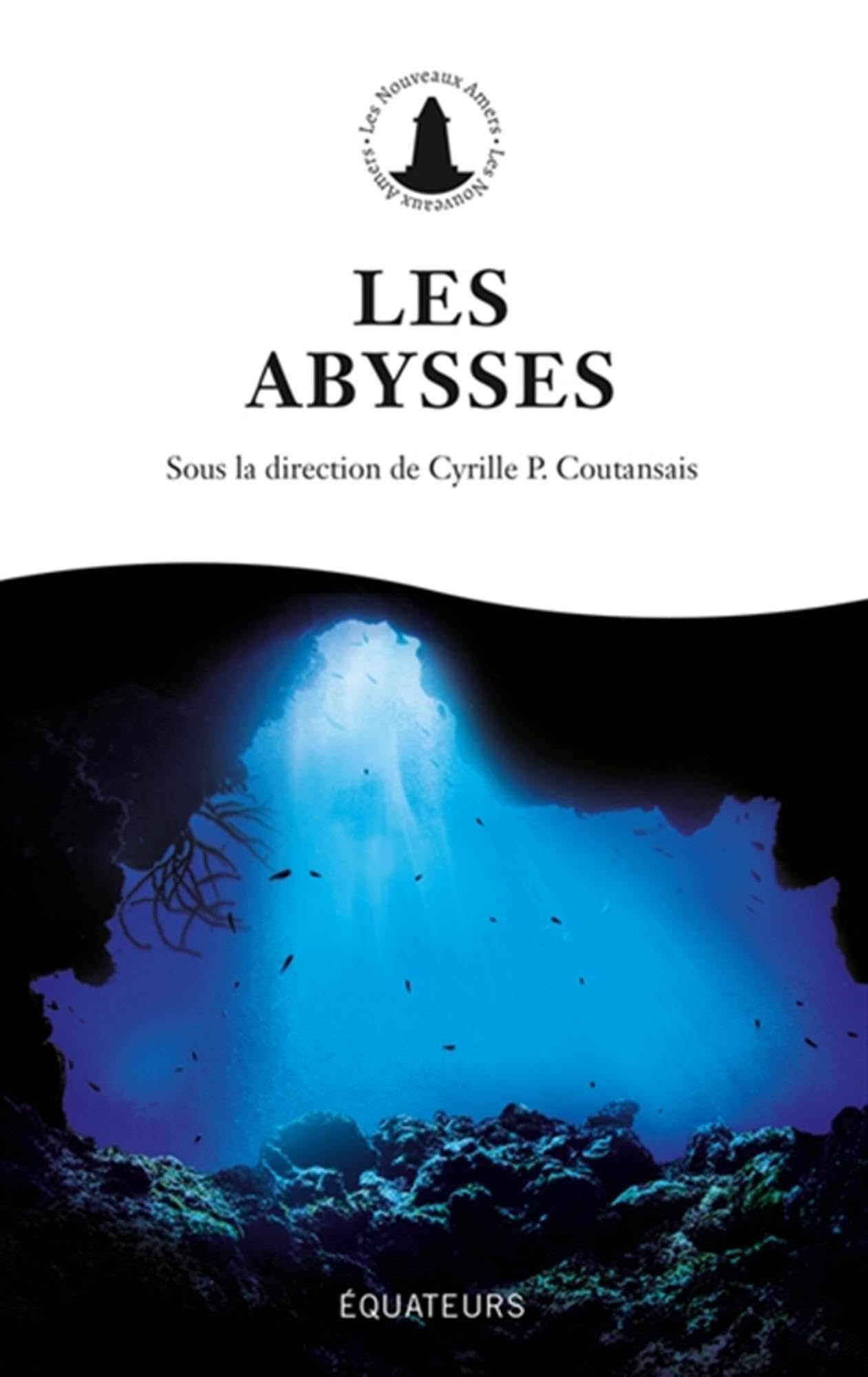 Les Abysses 9782382846667
