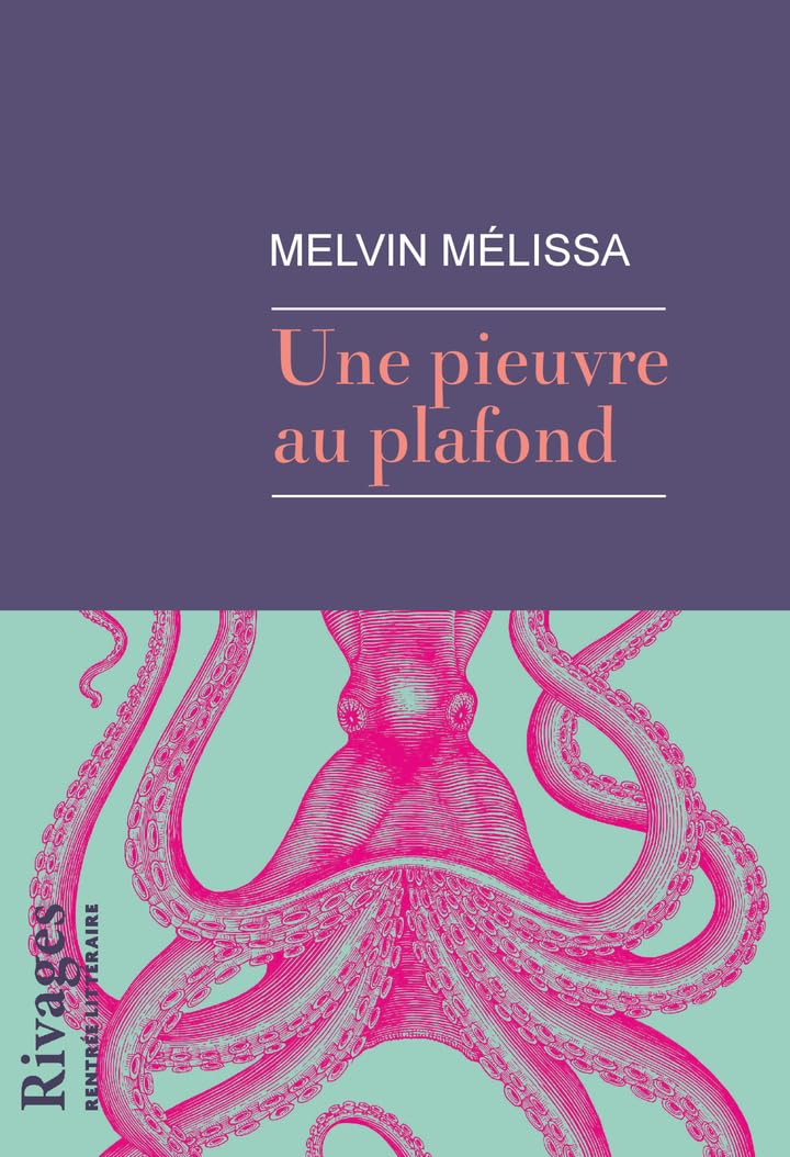 Une pieuvre au plafond 9782743667092
