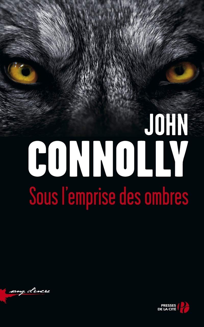 Sous l'emprise des ombres 9782258114913