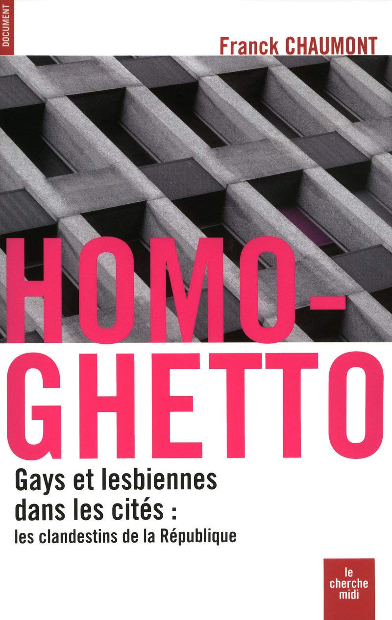 Homo-ghetto: Gays et lesbiennes dans les cités : les clandestins de la République 9782749109435