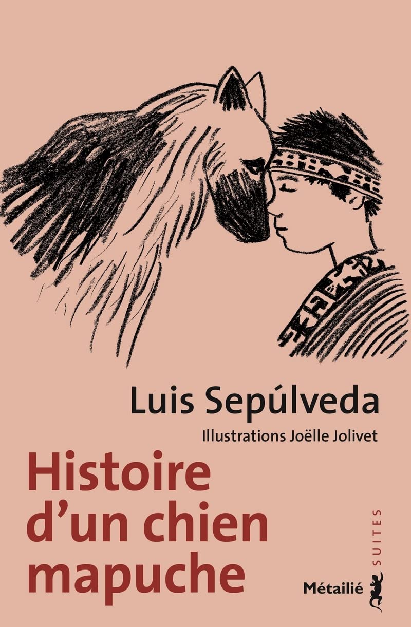Histoire d'un chien mapuche 9791022611848