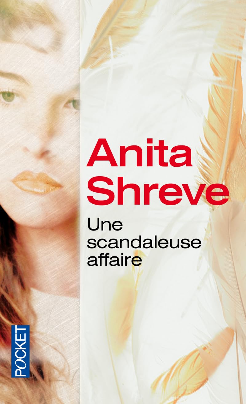 UNE SCANDALEUSE AFFAIRE 9782266214841