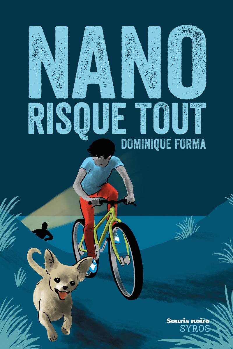 Nano risque tout 9782748523447