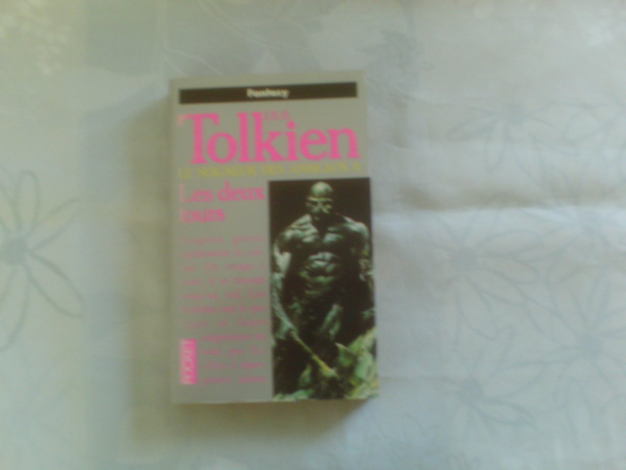 Le Seigneur des anneaux, tome 2 : les deux tours 9782266046503