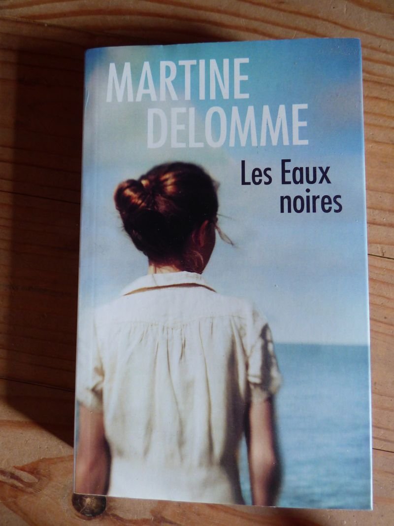 Les Eaux Noires 9782298134803