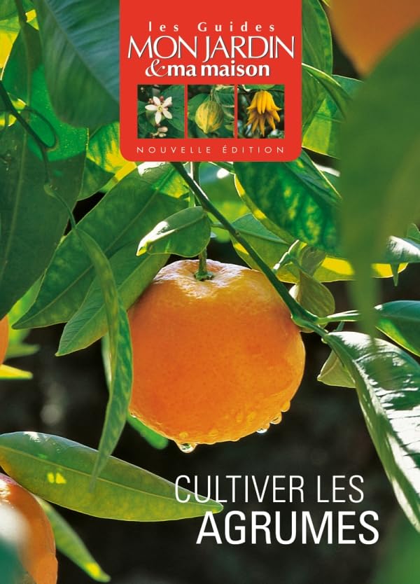 Cultiver les agrumes 9782723487986