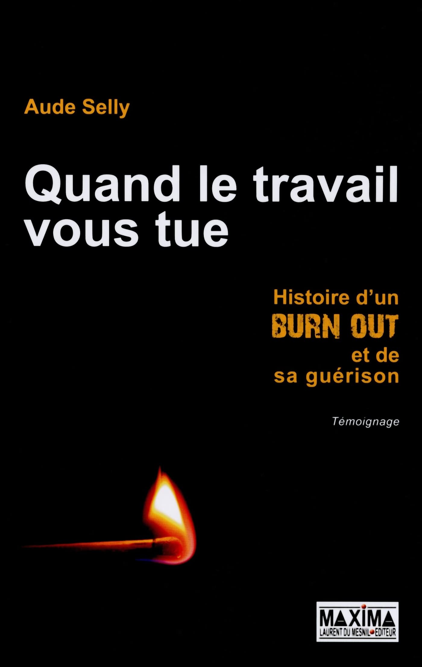 Quand le travail vous tue : Histoire d'un burn-out et de sa guérison 9782840017554
