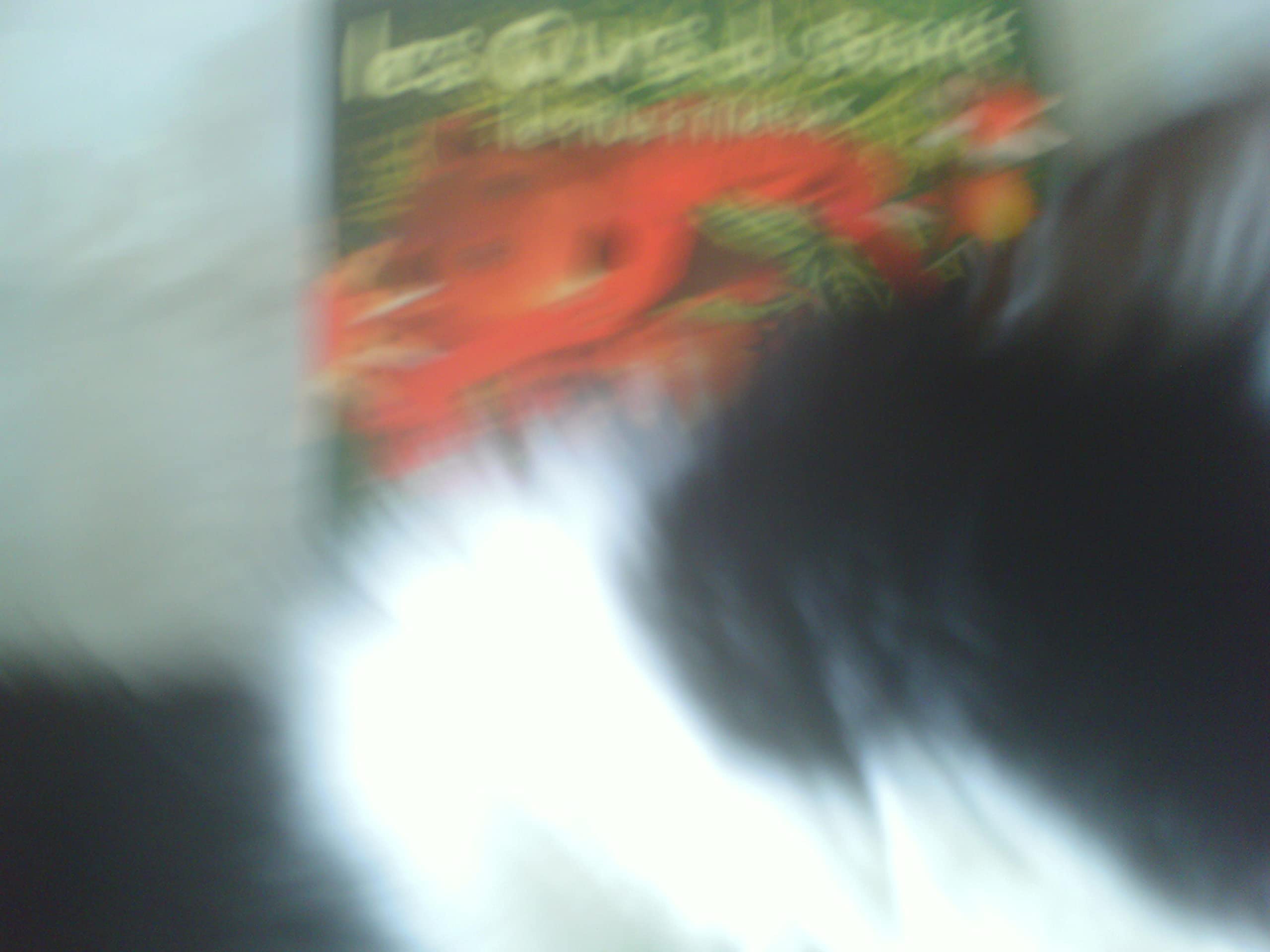 Le Plus mieux 3353570013626