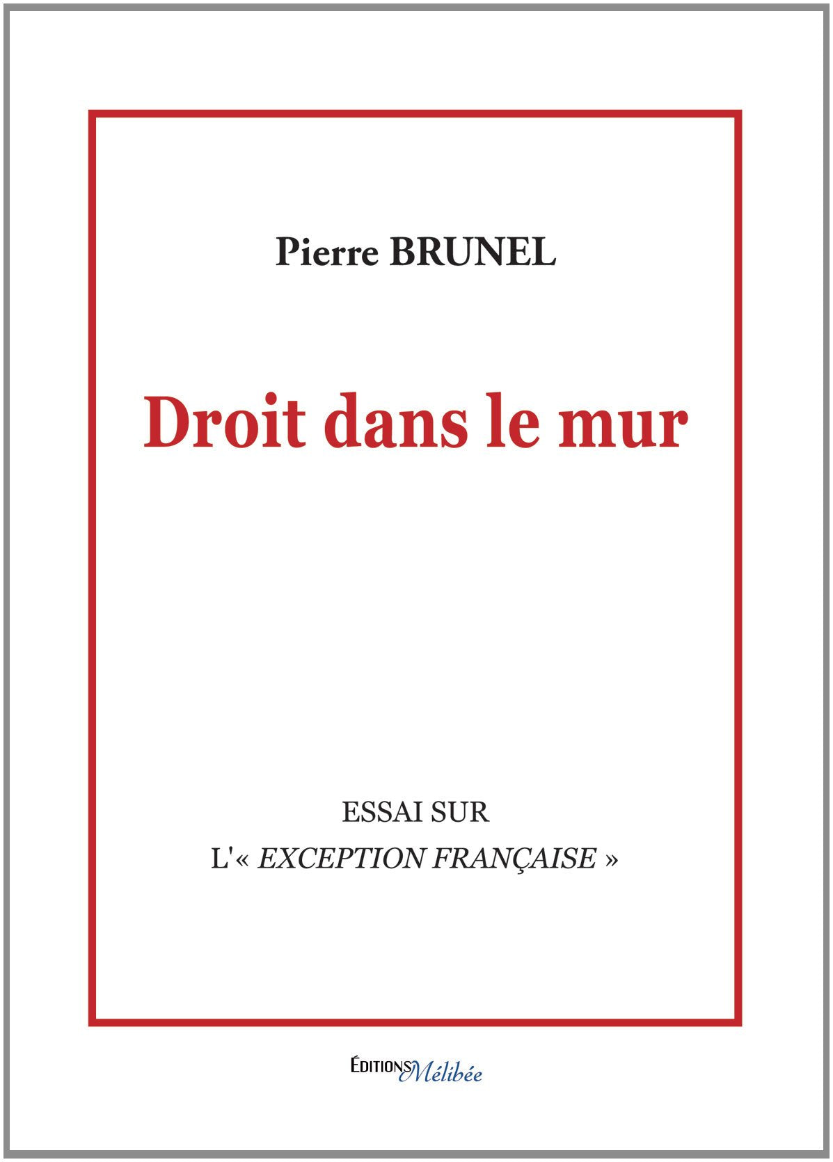 Droit dans le mur 9782362523168