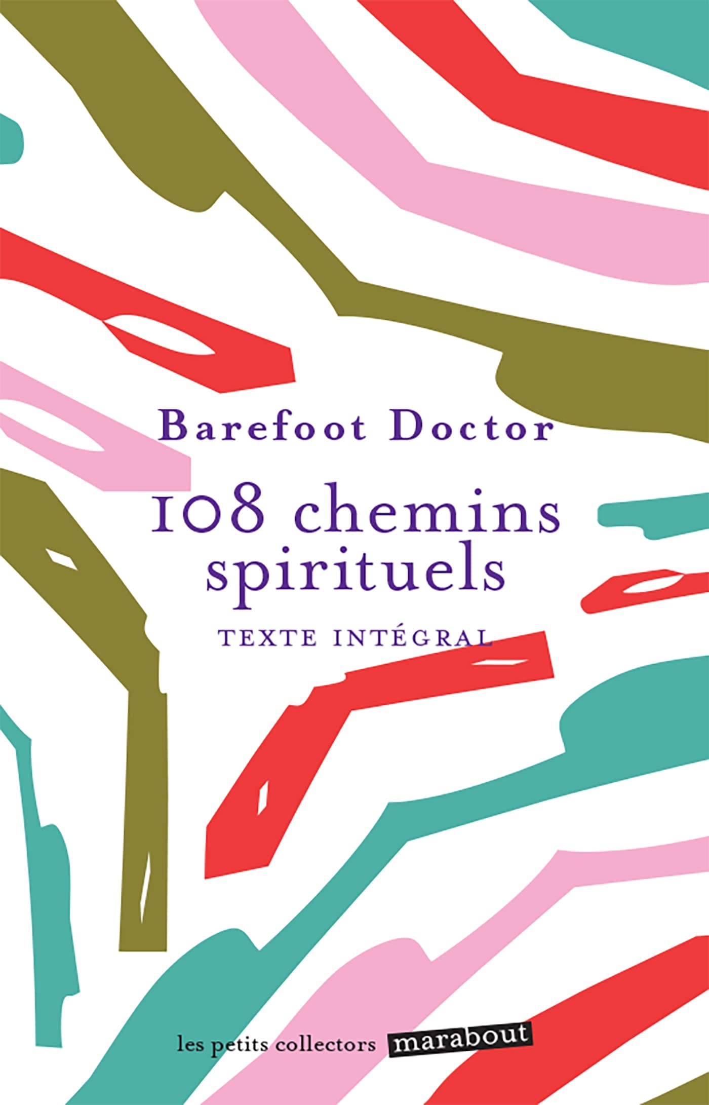 108 chemins spirituels 9782501150927