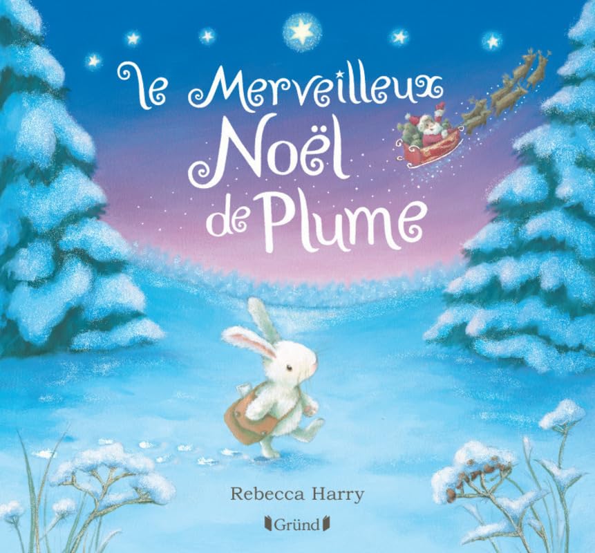 Le merveilleux Noël de Plume – Album jeunesse avec effet argenté – À partir de 3 ans 9782324020681