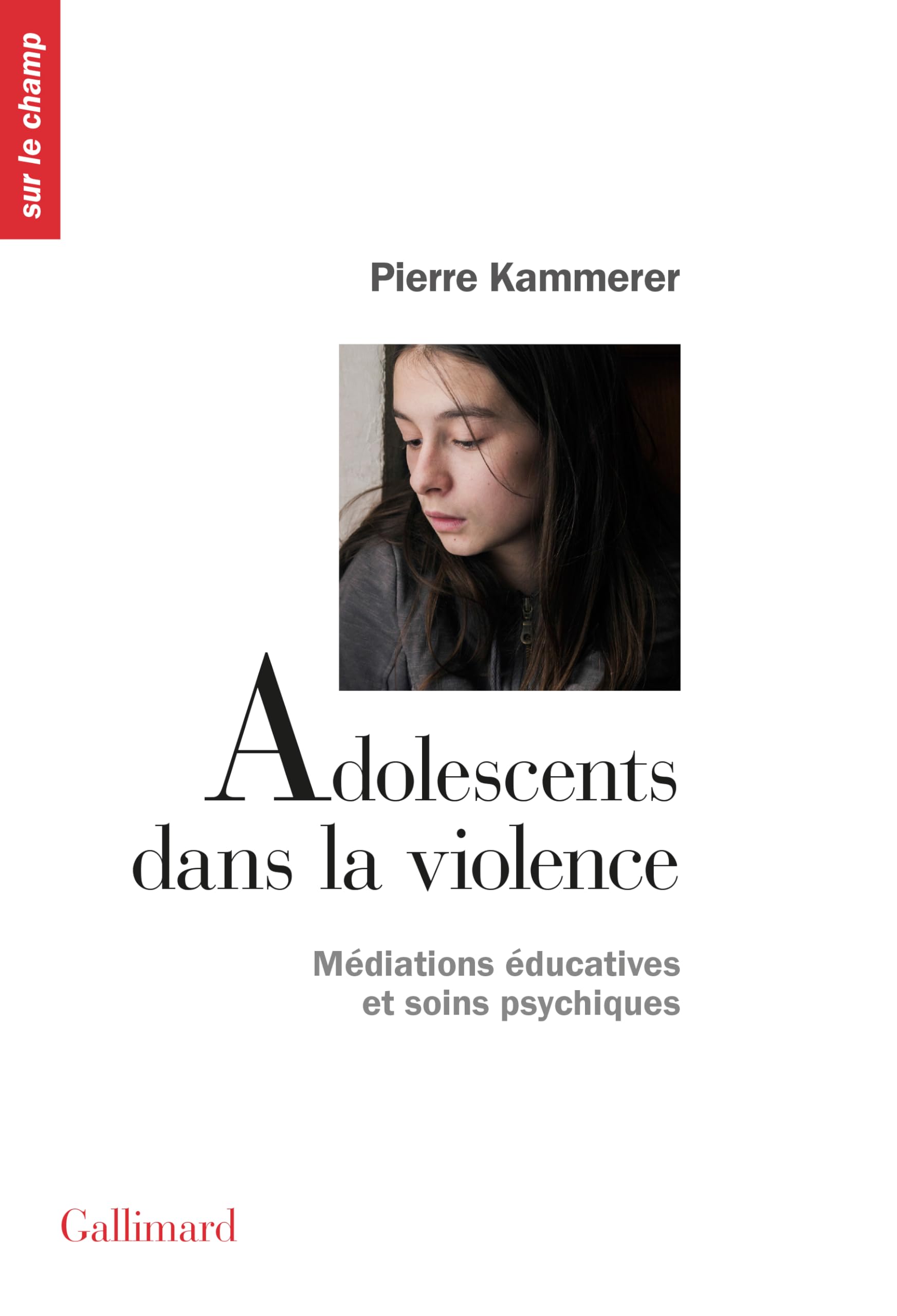 Adolescents dans la violence: Médiations éducatives et soins psychiques 9782070758975