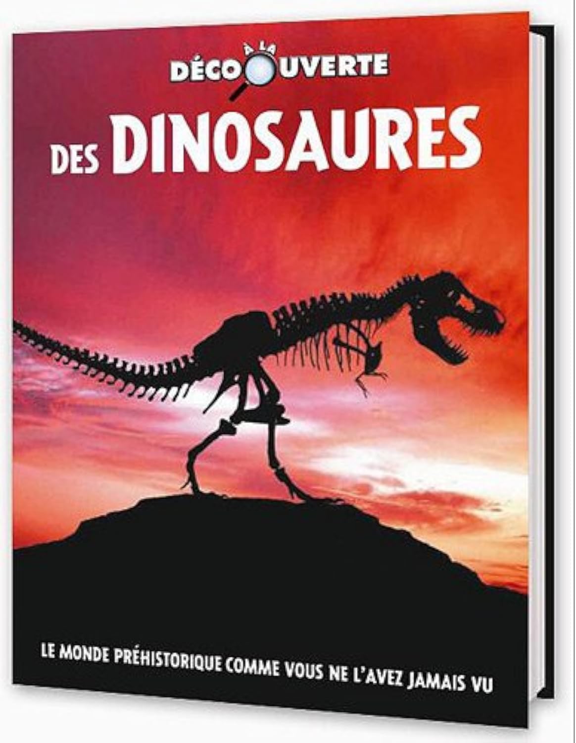 Dinosaures 9782753202542
