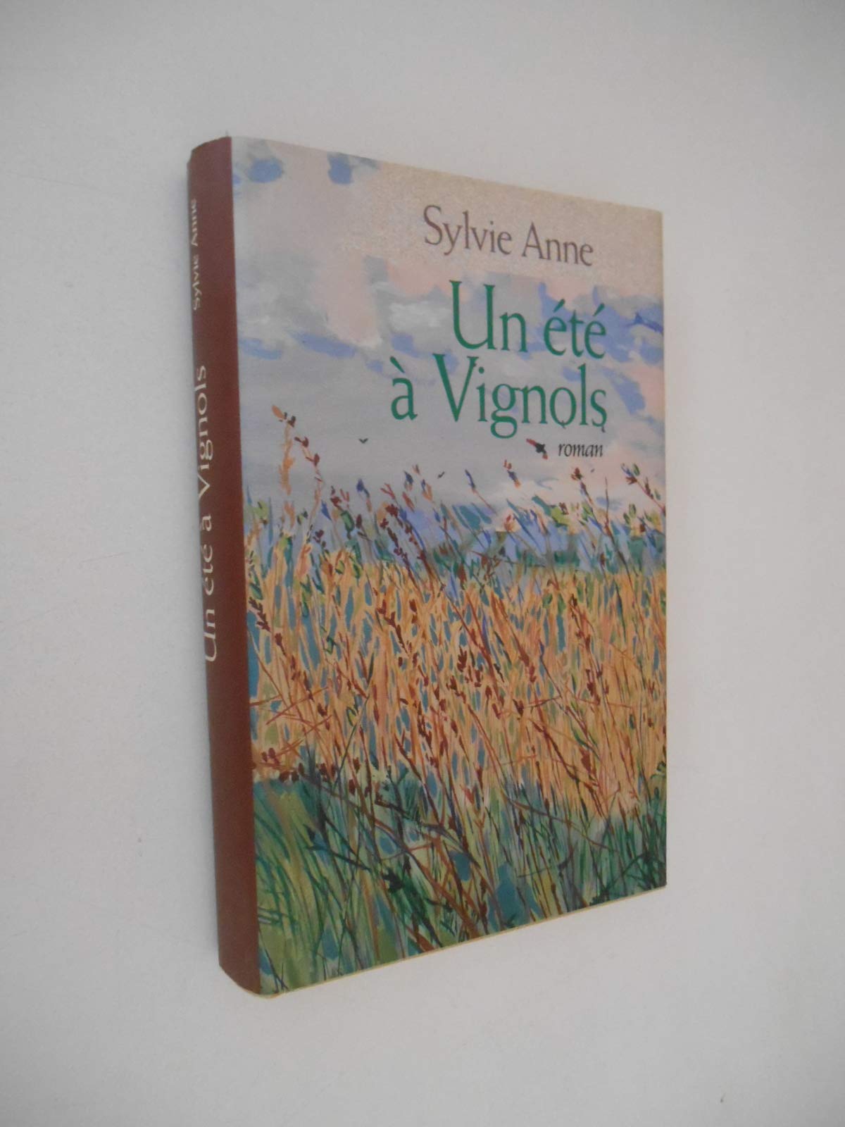 Un été à Vignols 9782298003048