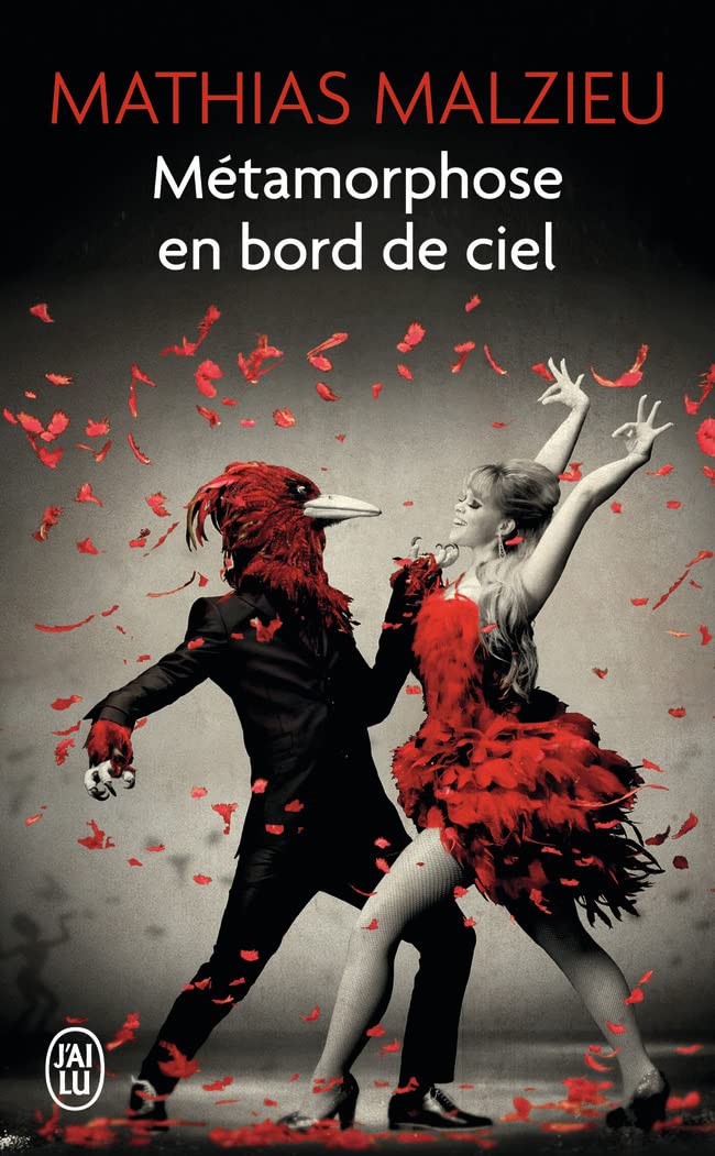 Métamorphose en bord de ciel 9782290037843
