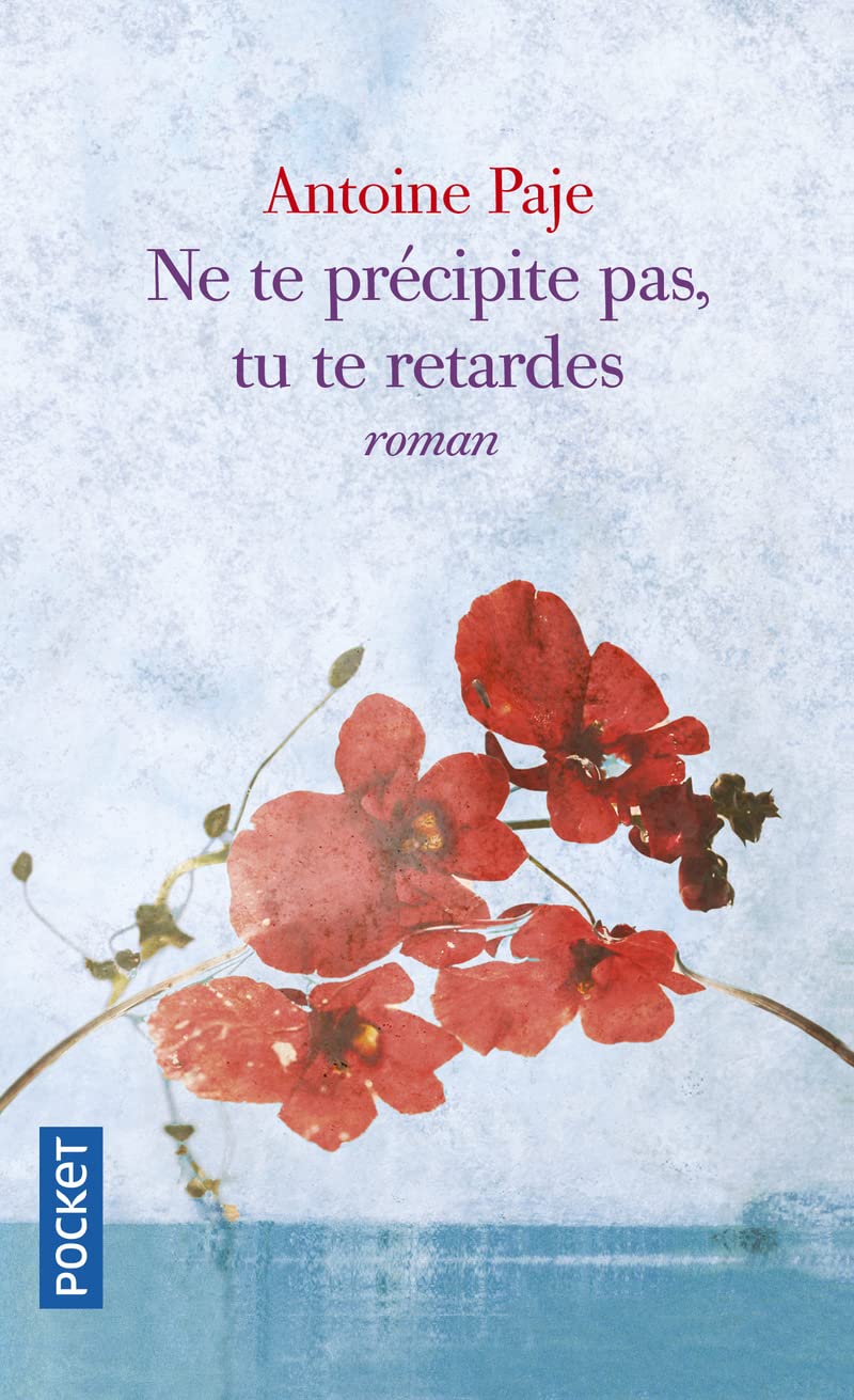 Ne te précipite pas, tu te retardes 9782266318907