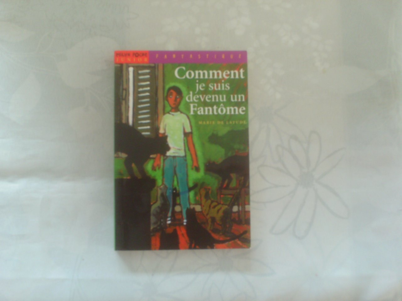 Comment je suis devenu un fantôme 9782745903891