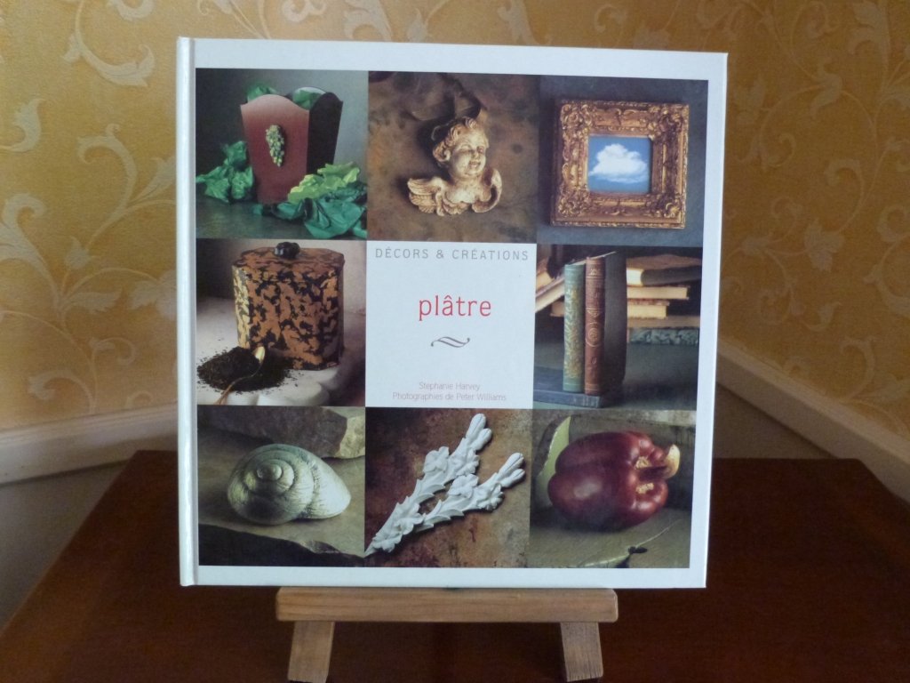 Décors et créations : plâtre 9782743412760