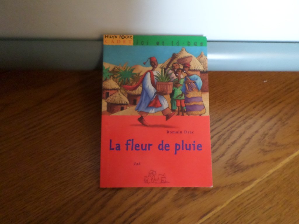 La fleur de pluie 9782841138517