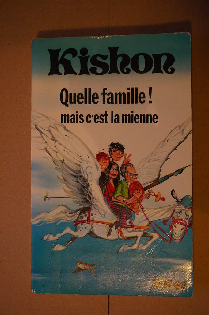 Quelle famille ! mais c'est la mienne 9782711204496