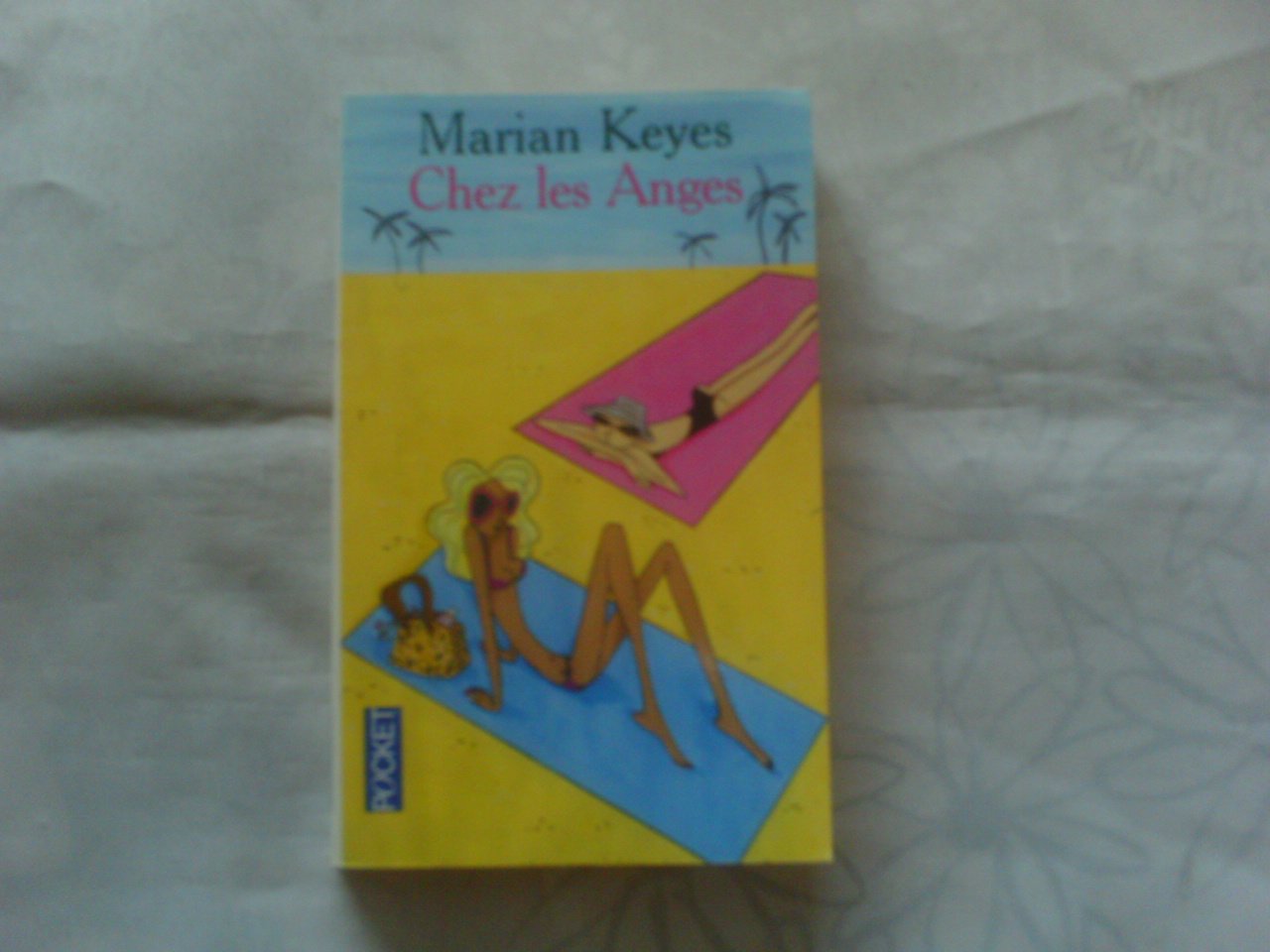 Chez les Anges 9782266154697