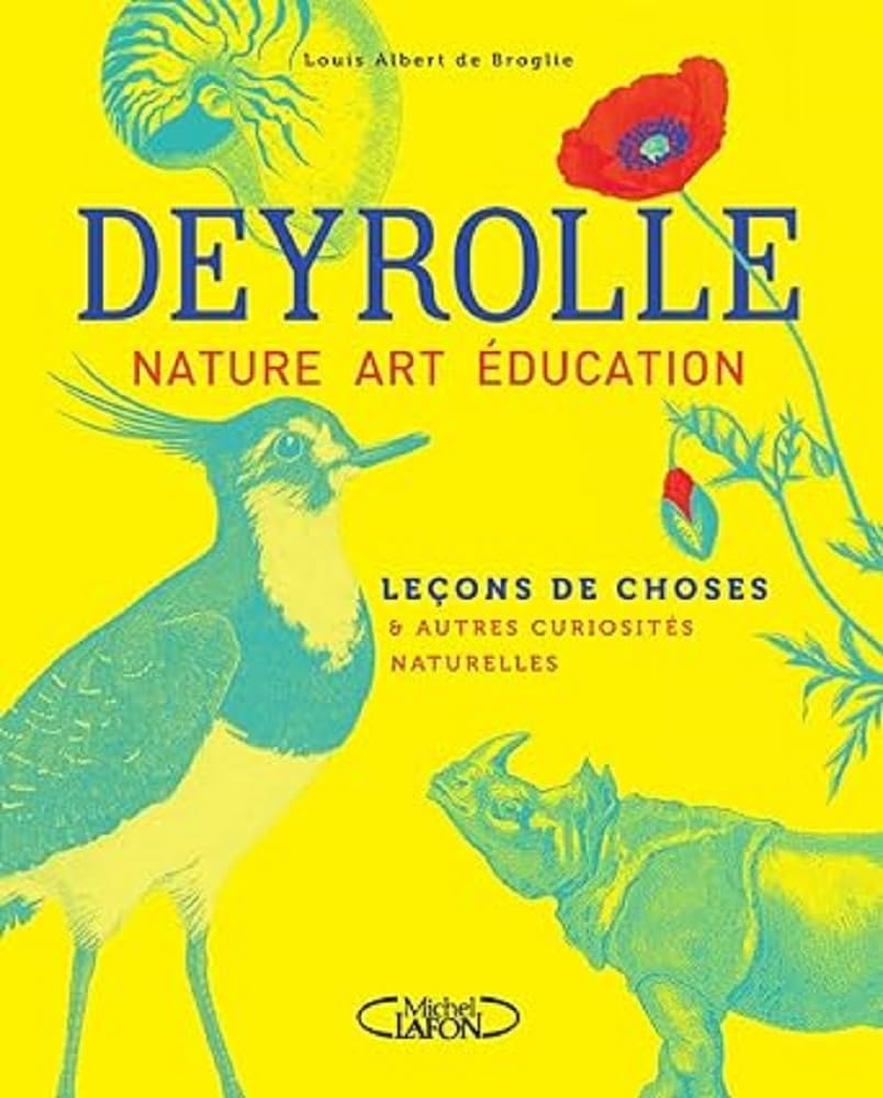 Leçons de choses & autres curiosités naturelles 9782749951379