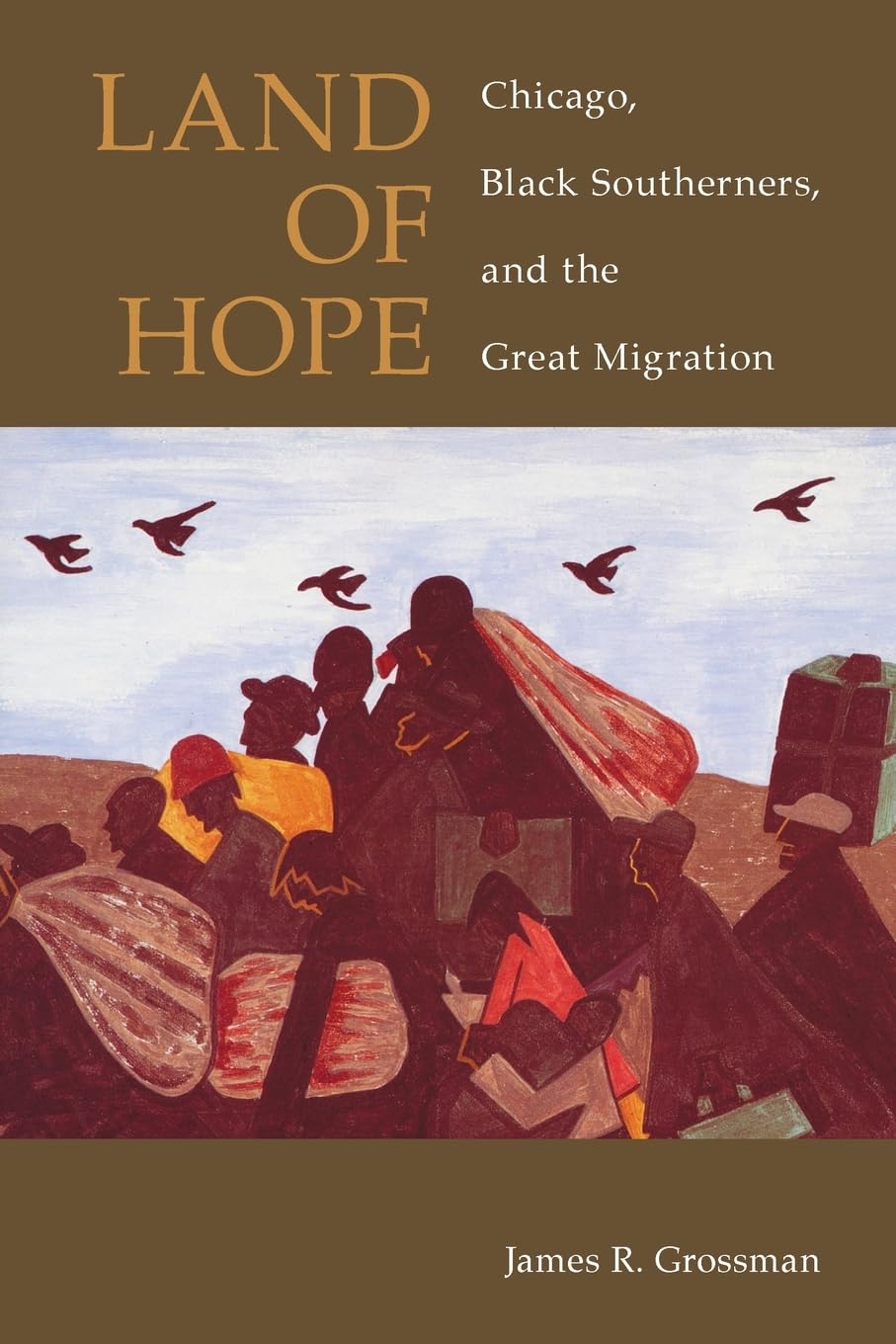 Land of Hope: Chicago, Black Southerners, and the Great Migration 9780226309958