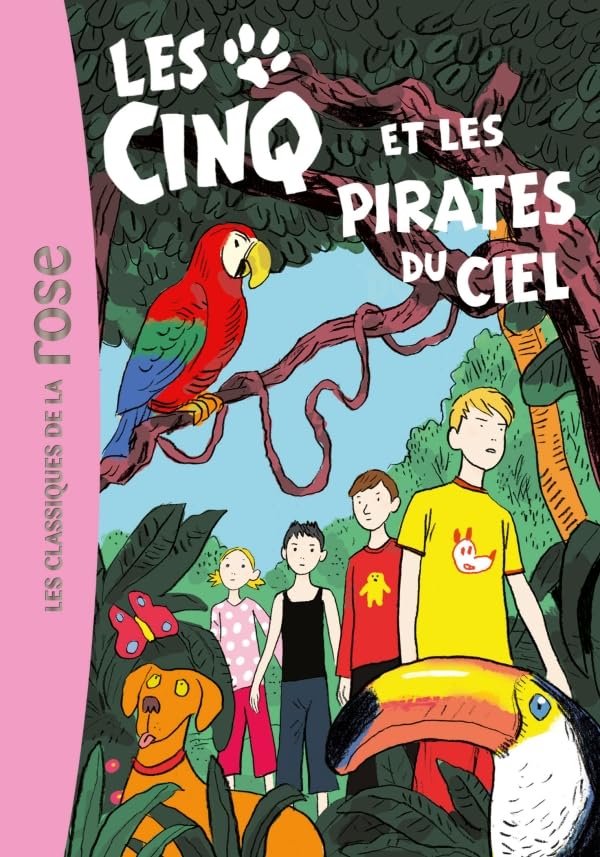 Les Cinq 26 - Les Cinq et les pirates du ciel 9782012027756