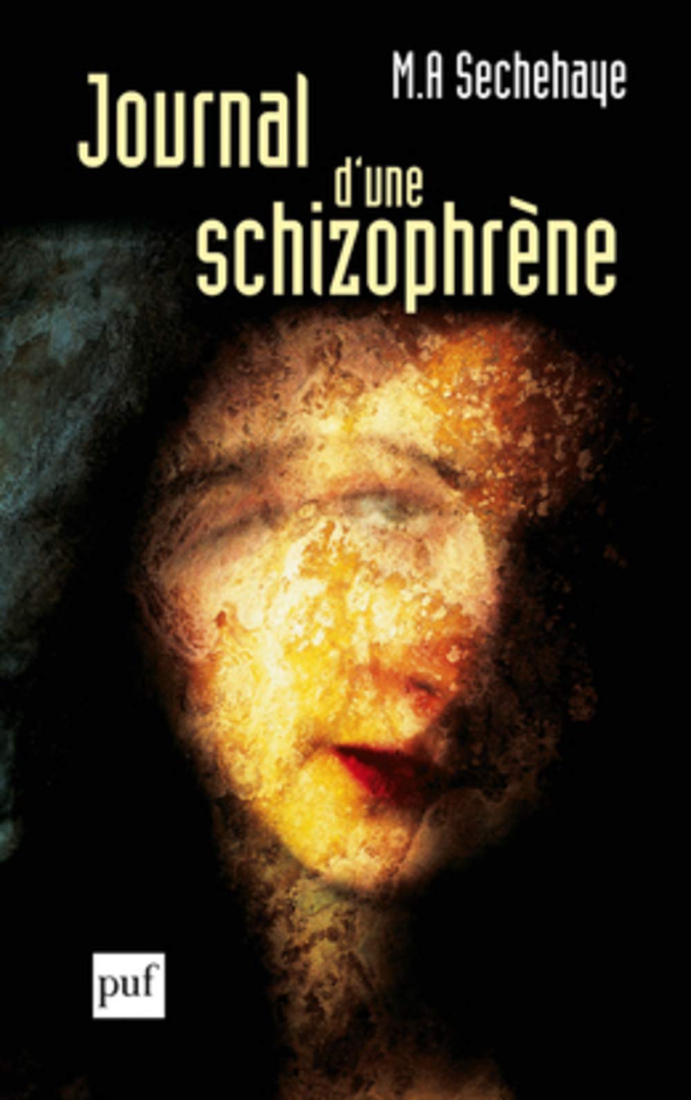 Journal d'une schizophrène 9782130537953