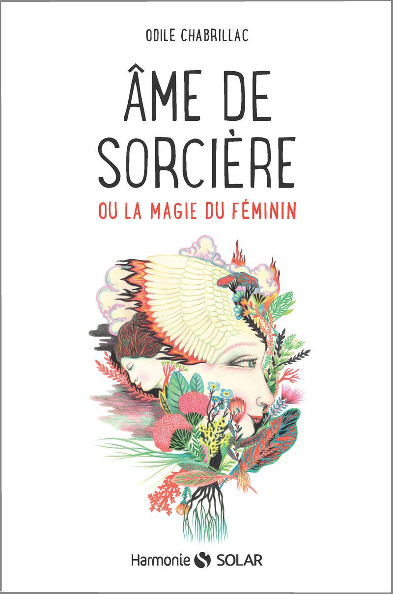 Âme de sorcière 9782263148873