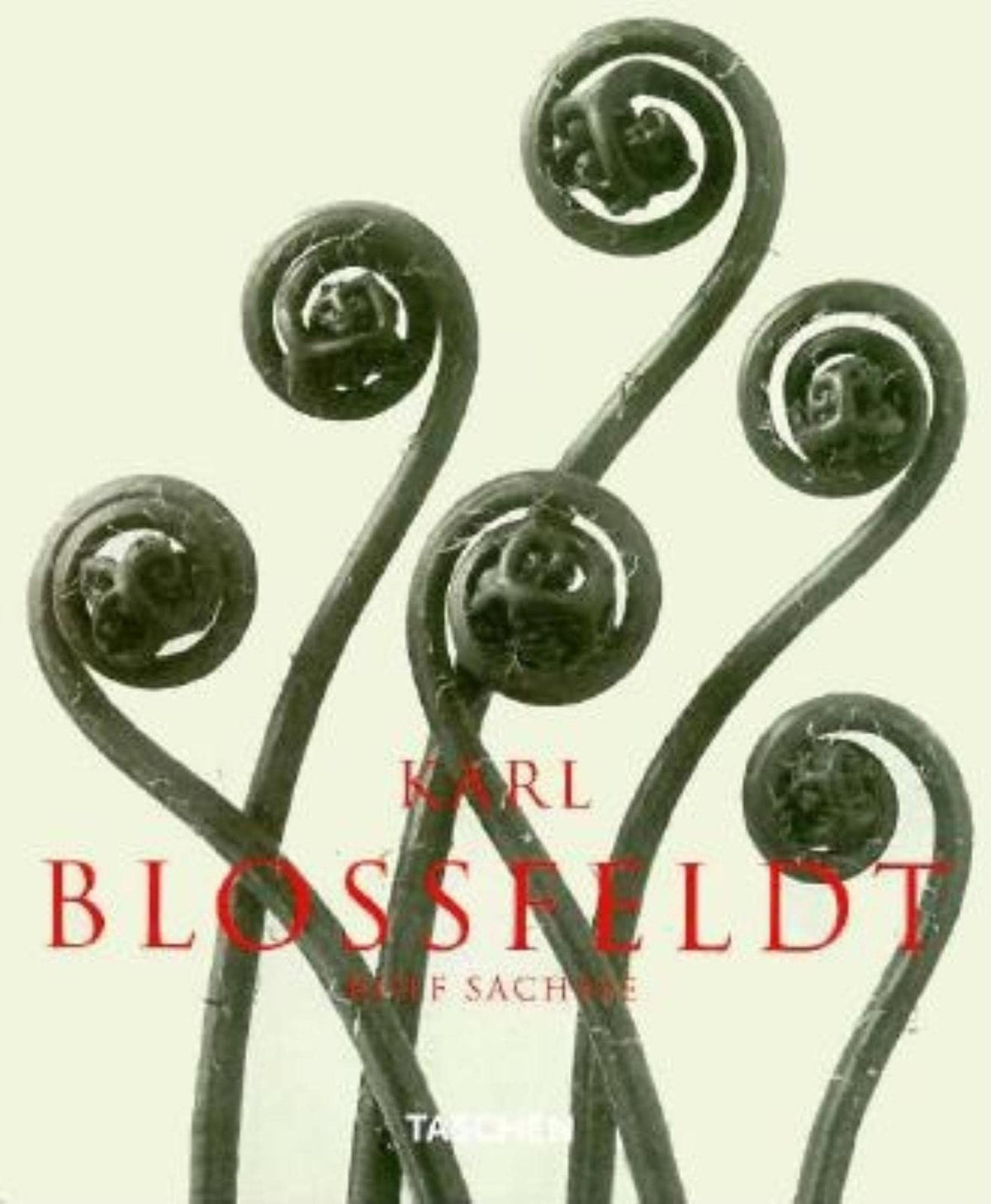 Karl Blossfeldt. Photographs 1865-1932, Edition Anglaise, Allemande Et Francaise 9783822883136